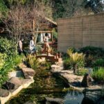 Puffing Billy and The Dandenong Ranges Private Experience - Practical Details and Logistics