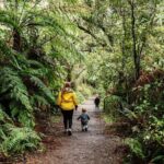 Puffing Billy & Rainforest Tour from Melbourne - The Itinerary in Detail