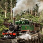 Puffing Billy Train and Phillip Island Penguin Parade Day Tour - What to Expect from the Itinerary
