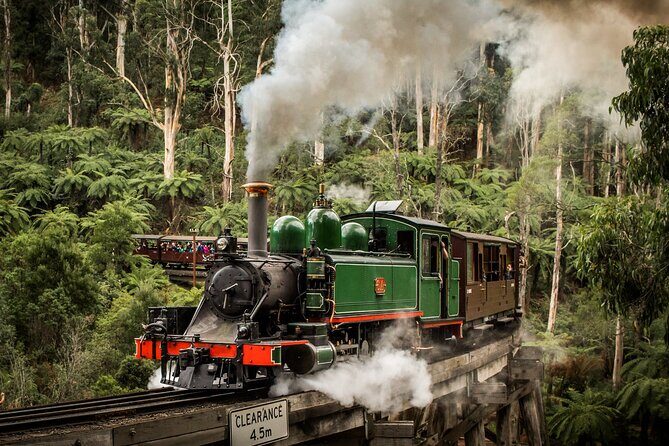 Puffing Billy Train and Phillip Island Penguin Parade Day Tour - What to Expect from the Itinerary