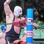 Pulque Tasting and Mexican Wrestling: Premium Small Group Tour - Who Should Consider This Tour?