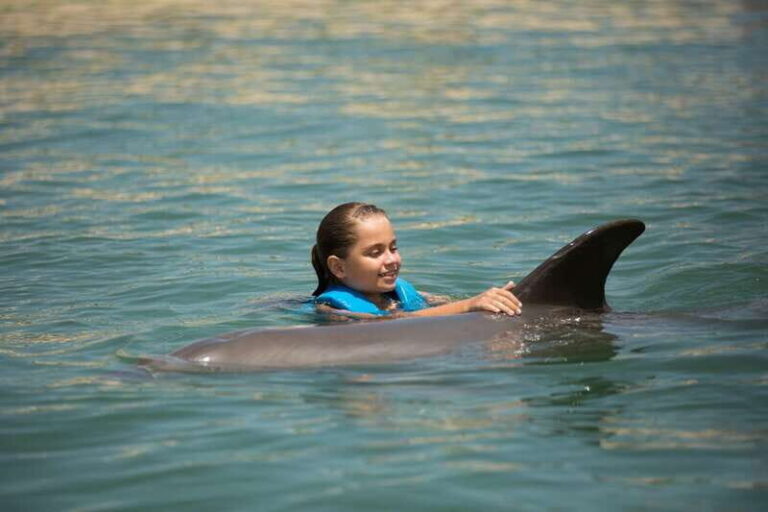 Punta Cancun: Swim with dolphins Interax - Cost and Value Proposition