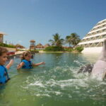 Punta Cancun: Swim with dolphins Primax - The Logistics and what’s Included