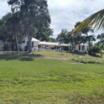 Punta Gorda/Boca Grande Beach Day Private 5hr Charter - What You Can Expect from the Experience