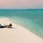 Punta Gorda/Boca Grande: Sandbar Cruise with Captain - The Boat and Amenities