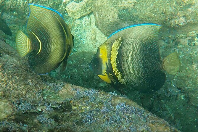 Punta Mita Fishing Experience and Snorquel at Secluded Reefs - Final Thoughts