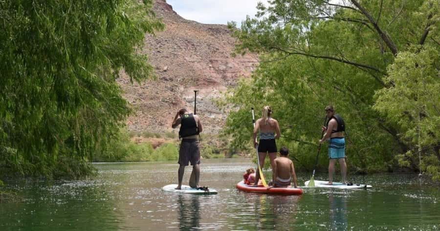 Quail Creek: Kayak or Stand-Up Paddleboard Tour - What to Expect on the Day