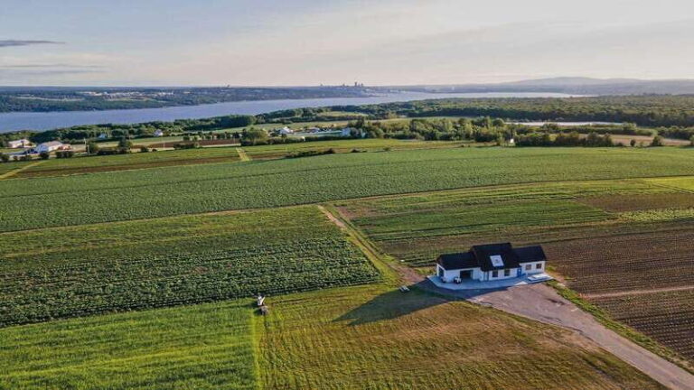 Quebec City - Agricultural Walking Tour on Ile d'Orléans - The Experience from the Reviews