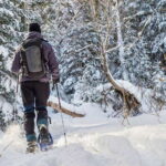 Quebec City: Jacques-Cartier National Park Snowshoeing Tour - The Trail and Scenery