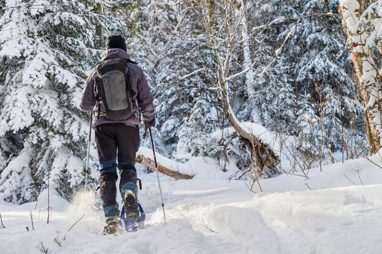 Quebec City: Jacques-Cartier National Park Snowshoeing Tour - The Trail and Scenery