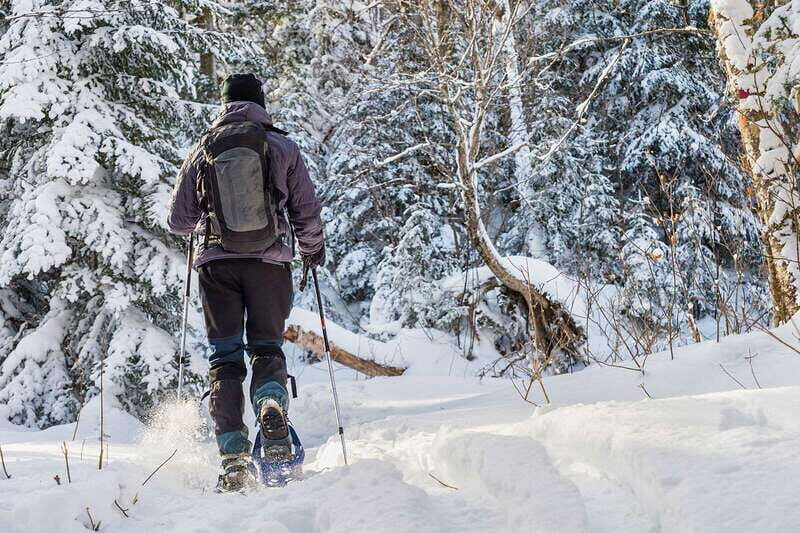 Quebec City: Jacques-Cartier National Park Snowshoeing Tour - The Trail and Scenery