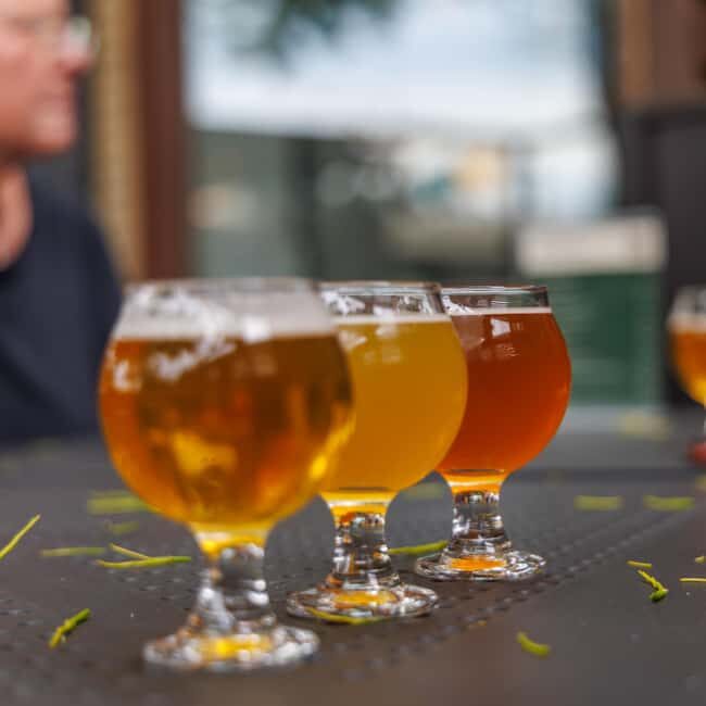 Quebec City: Montmorency Falls and Microbrewery eBike Tour - Final Thoughts: Is This Tour Right for You?