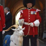 Quebec: La Citadelle de Québec Ticket and Guided Tour - Who Is This Tour Best For?