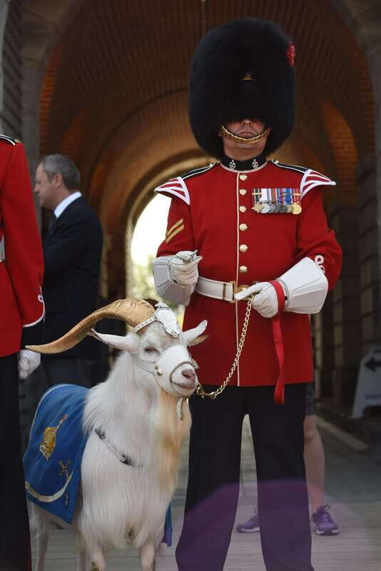 Quebec: La Citadelle de Québec Ticket and Guided Tour - Who Is This Tour Best For?