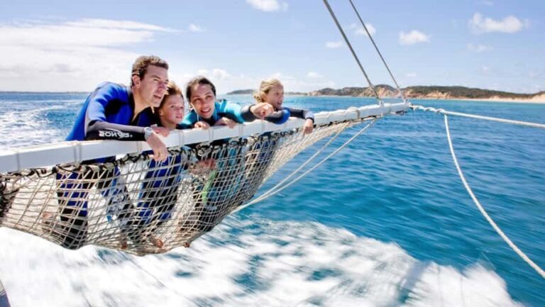 Queenscliff Harbour: 3.5hr Seal & Dolphin Snorkelling Tour - What to Expect: The Real Deal