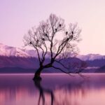 Queenstown: Private Day Trip to Wanaka, Arrowtown & More - Who Is This Tour Best For?