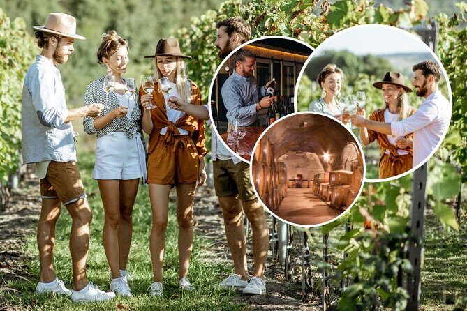 Queenstown Wine Tour - Gibbston Valley Cave | Kinross | Amisfield - What Guests Say