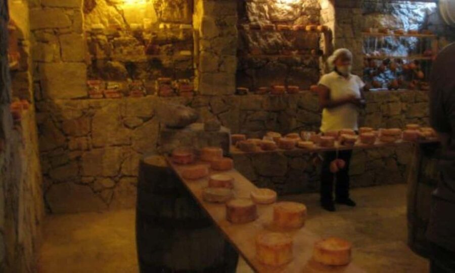 Querétaro: Cheese and Wine Tasting Tour - Authentic Feedback from Travelers