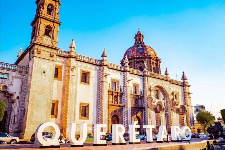 Querétaro: Wine and Cheese Tastings (ENG/CH Private/Join) - Transportation and Group Size