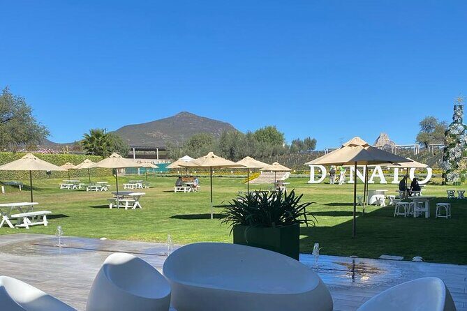 Queretaro Wine Experience - Transportation and Group Size