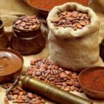 Quintana Roo 5 hours Chocolate Maya Ceremony and Temazcal Maya Ritual Tour - Who Will This Tour Suit Best?