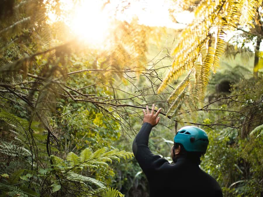 Raglan: Karioi Canyoning - The Day in the Canyon: What You Can Expect