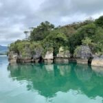 Raglan: Scenic Nature Boat Cruise - Why This Tour Works for Different Travelers
