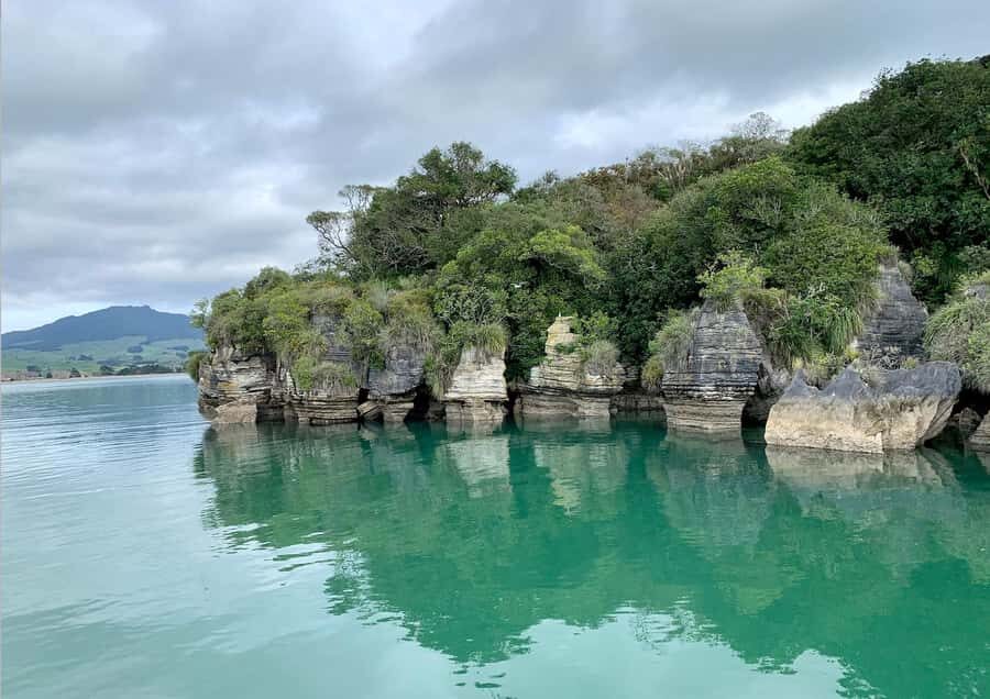 Raglan: Scenic Nature Boat Cruise - Why This Tour Works for Different Travelers