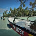 Raiatea-Tahaa Snorkeling in our beautiful Coral Garden - What the Reviews Say: Authentic Experiences and Honest Feedback