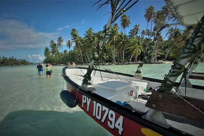 Raiatea-Tahaa Snorkeling in our beautiful Coral Garden - What the Reviews Say: Authentic Experiences and Honest Feedback