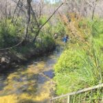 Rainbow Beach Private Tour with Lunch, Carlo Sandblow & Cooloola - Is It Worth the Price?