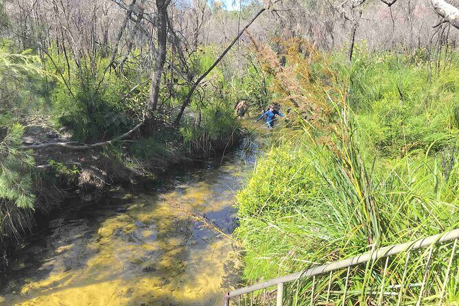 Rainbow Beach Private Tour with Lunch, Carlo Sandblow & Cooloola - Is It Worth the Price?