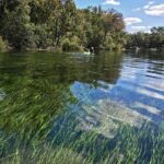 Rainbow River: 8AM & 3PM Snorkel or Scenic Wildlife Cruise - The Snorkeling Experience