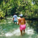 Rainbow Springs: Clear Kayak & Snorkel Eco Tour - The Equipment and Comfort