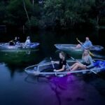 Rainbow Springs: Clear Kayak Sunset & Glow Tour - Who Should Consider This Tour?