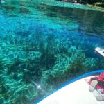 Rainbow Springs Electric Paddle Tour - The Value of the Experience