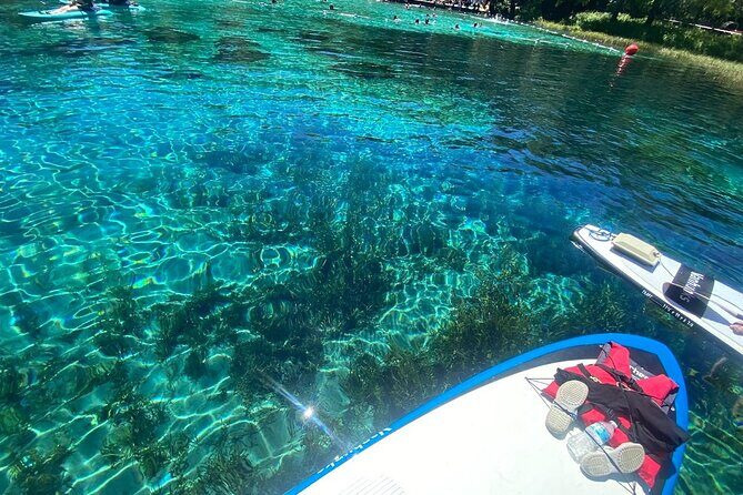 Rainbow Springs Electric Paddle Tour - The Value of the Experience