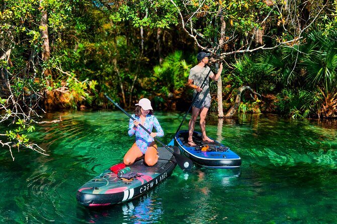 Rainbow Springs Paddle Adventure - Why Travelers Love It