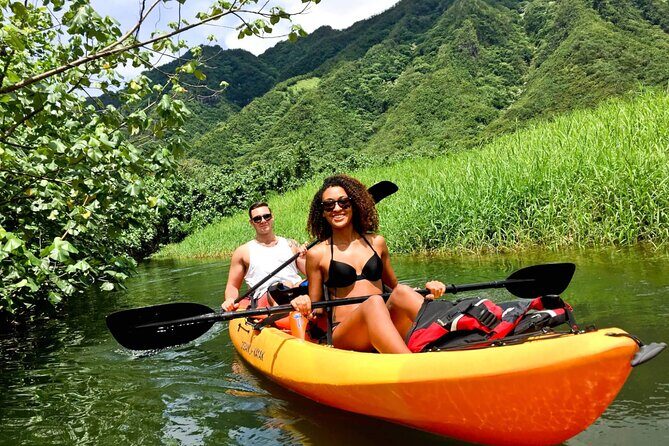 Rainforest River Kayak Self-Guided Kayak Tour - What Does the Itinerary Look Like?