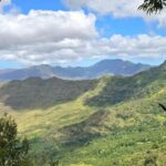 Rainforest to Reef Full-Day: Bike, Hike, Sail and Snorkel - Who Would Enjoy This Tour?