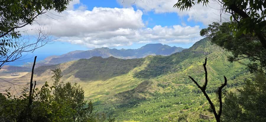Rainforest to Reef Full-Day: Bike, Hike, Sail and Snorkel - Who Would Enjoy This Tour?