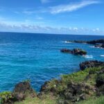 Rainforest Tour to Hana and Beyond - Final Thoughts: Who Should Consider This Tour?