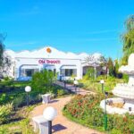 Raja Yoga Meditation Course - The Experience in Detail