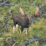 Rangeley Lakes Region Seaplane Tour - What the Reviews Say