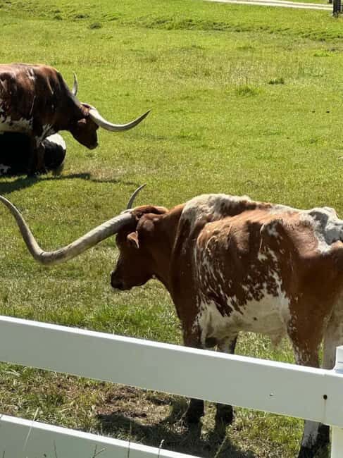 Rapid City: Black Hills Tour with Monument Tour - What to Expect on the Tour