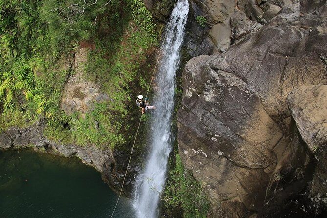 Rappel Maui Waterfalls and Rainforest Cliffs - Detailed Experience Breakdown