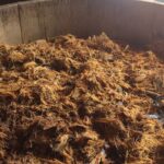 Real Mezcal Adventure - Practical Details and What to Expect