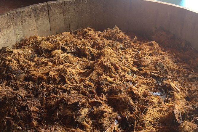 Real Mezcal Adventure - Practical Details and What to Expect