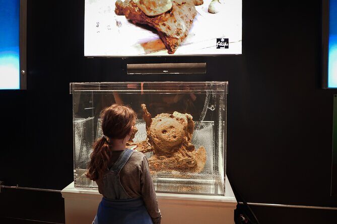 Real Pirates Salem Museum with Guided Directors Tour - The Drawbacks and Considerations