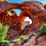 Red Rock Canyon Small Group Tour from Las Vegas - Authentic Insights from Travelers